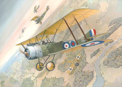 Roden Aircraft 1/48 Sopwith 1-1/2 Strutter WWI British BiPlane Fighter Kit