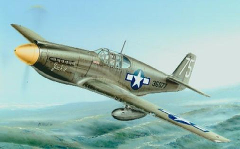 Special Hobby 1/72 P51A/F6A Mustang Fighter Kit